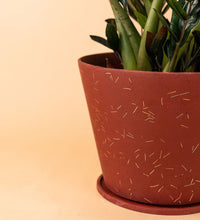 Matchstick Planter by Capra Designs - Pot - Tumbleweed Plants - Online Plant Delivery Singapore