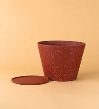 Matchstick Planter by Capra Designs - Pot - Tumbleweed Plants - Online Plant Delivery Singapore