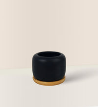 Matte Black Cement Pot with Wooden Tray - Short - medium - Pot - Tumbleweed Plants - Online Plant Delivery Singapore