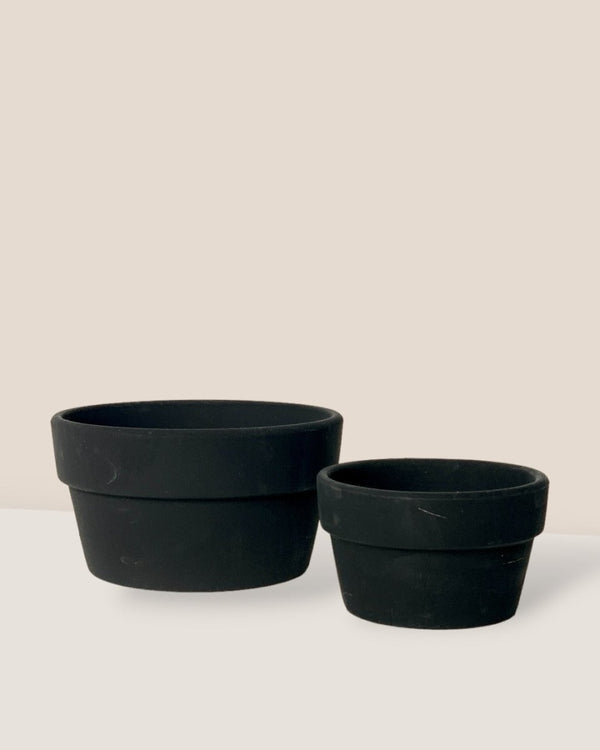 Midnight Black Pot - Small - Pot - Tumbleweed Plants - Online Plant Delivery Singapore