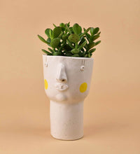 Misfits Tall - yellow cheeks with assorted succulent - Pot - Tumbleweed Plants - Online Plant Delivery Singapore