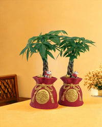 Money Tree in Prosperity Bag Planter - Gifting plant - Tumbleweed Plants - Online Plant Delivery Singapore