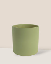 Olive Bloom Ceramic Pot - Large - Pot - Tumbleweed Plants - Online Plant Delivery Singapore