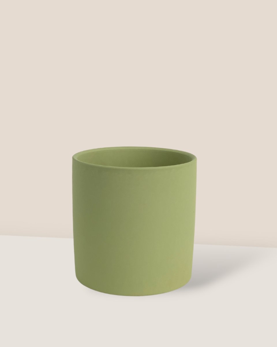 Olive Bloom Ceramic Pot - Small - Pot - Tumbleweed Plants - Online Plant Delivery Singapore