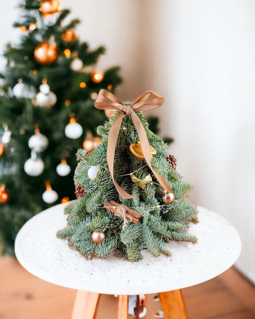 Petite Fresh Christmas Tree (Limited) - 30cm - Gifting plant - Tumbleweed Plants - Online Plant Delivery Singapore