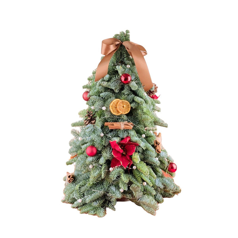 Petite Fresh Christmas Tree (Limited) - 30cm - Gifting plant - Tumbleweed Plants - Online Plant Delivery Singapore