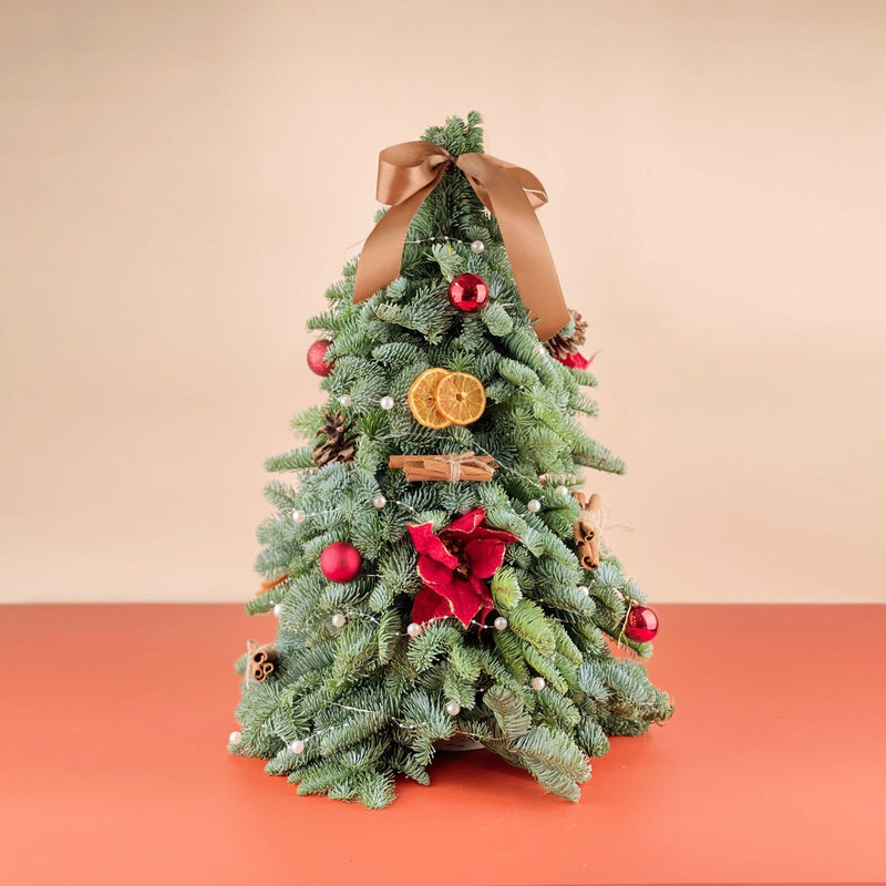Petite Fresh Christmas Tree (Limited) - 60cm - Gifting plant - Tumbleweed Plants - Online Plant Delivery Singapore
