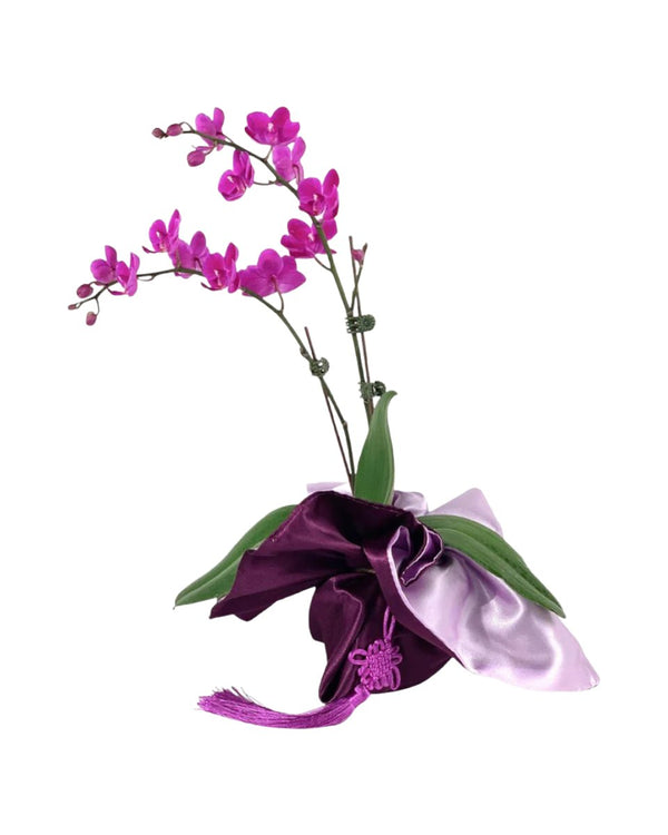 Phalaenopsis Orchid Arrangement in Satin Wrap - Gifting plant - Tumbleweed Plants - Online Plant Delivery Singapore