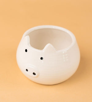 Piggy Planter - Pot - Tumbleweed Plants - Online Plant Delivery Singapore