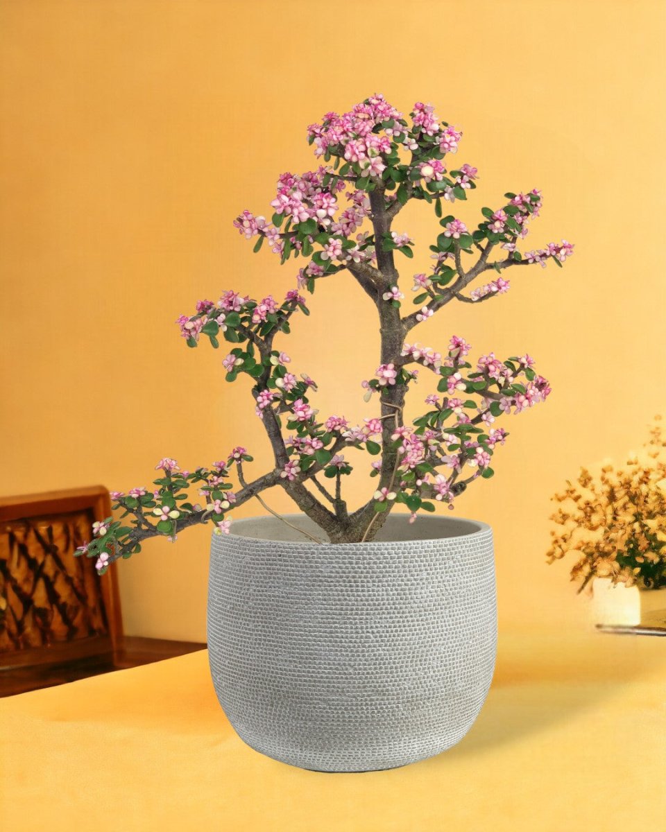 bauble planter - pearl white