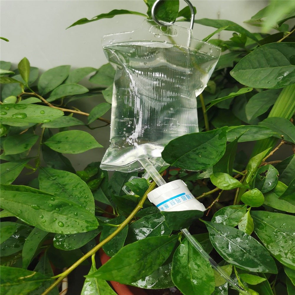 Plant Water IV Bag - 500 ml - Tumbleweed Plants - Online Plant Delivery Singapore