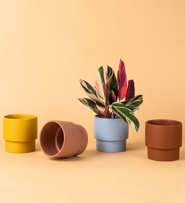 Plinth Pots - pink