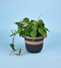 Portafino Planter - black - Pot - Tumbleweed Plants - Online Plant Delivery Singapore