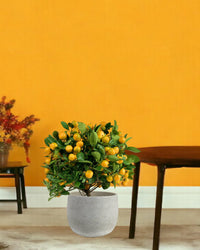 Prosperous Golden Orange Tree - bauble planter - pearl white - Potted plant - Tumbleweed Plants - Online Plant Delivery Singapore