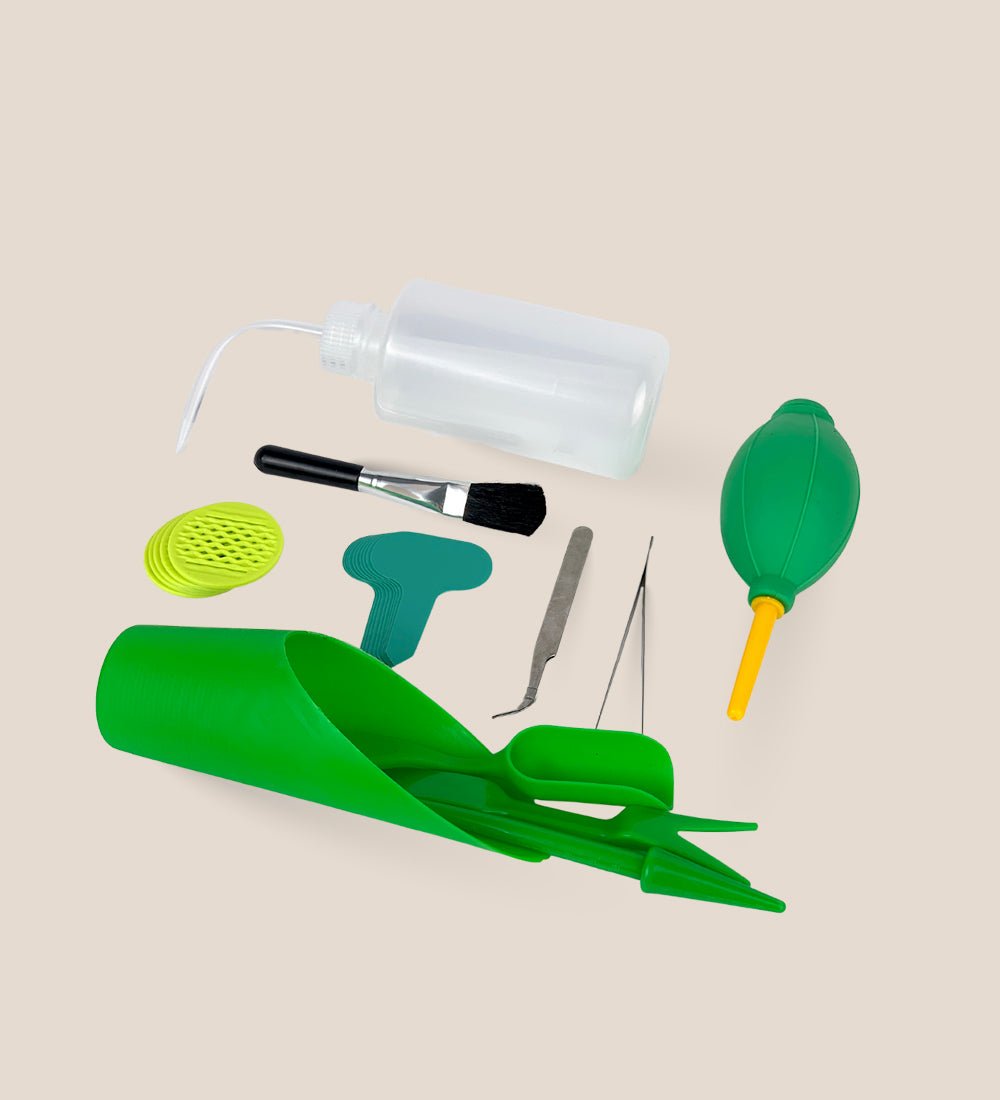 Repotting Tool Set - Mini Succulent Use - Green - Tool - Tumbleweed Plants - Online Plant Delivery Singapore