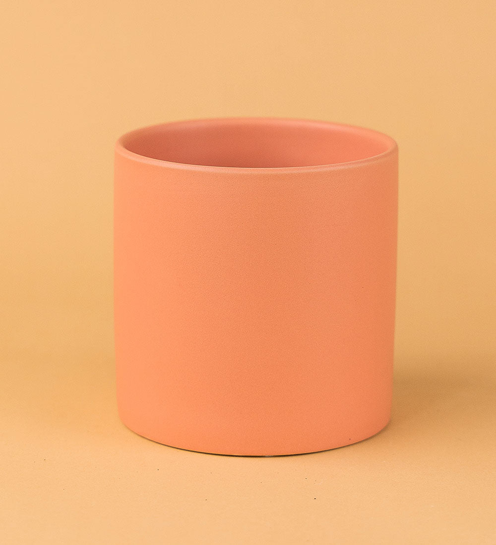 Satin Cylinder Pots - coral - Pot - Tumbleweed Plants - Online Plant Delivery Singapore