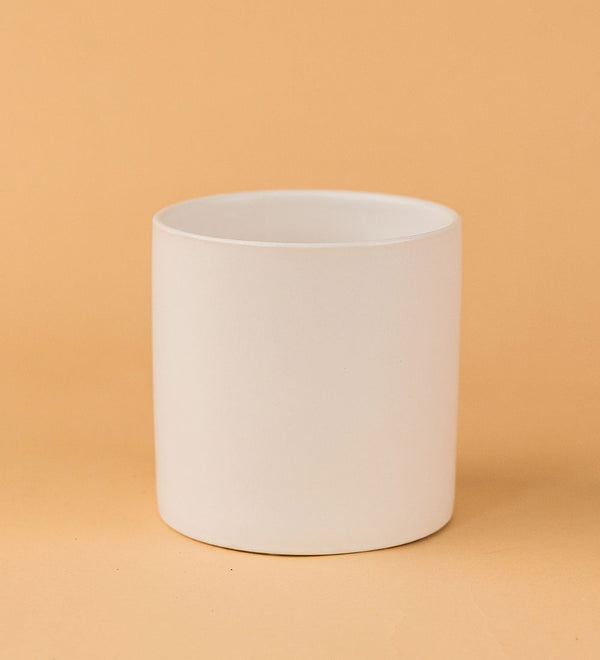 Satin Cylinder Pots - white - Pot - Tumbleweed Plants - Online Plant Delivery Singapore