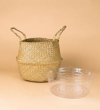 Seagrass Basket - Basket - Tumbleweed Plants - Online Plant Delivery Singapore