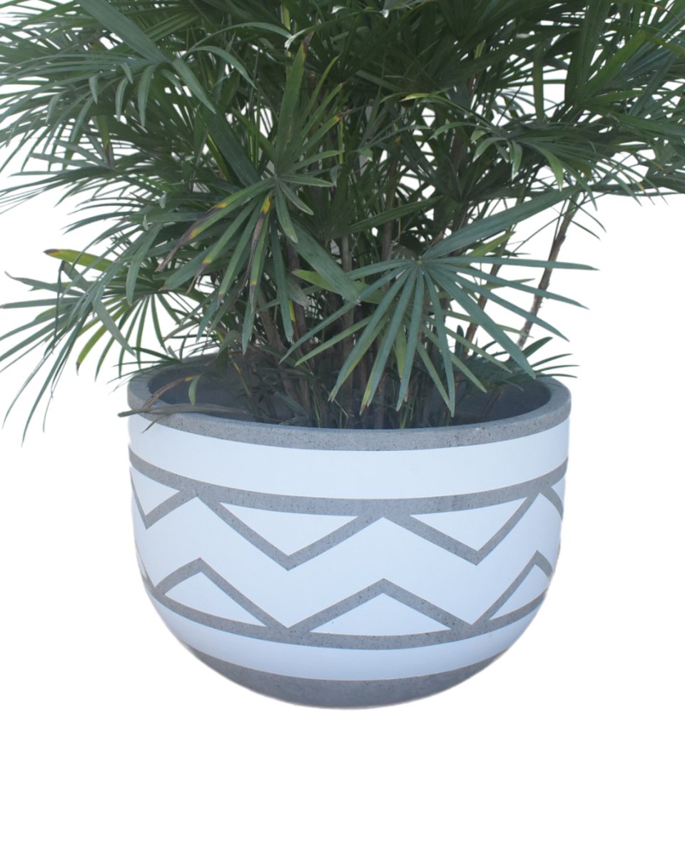Second Chance: Wide Pot Grey - Pot - Tumbleweed Plants - Online Plant Delivery Singapore