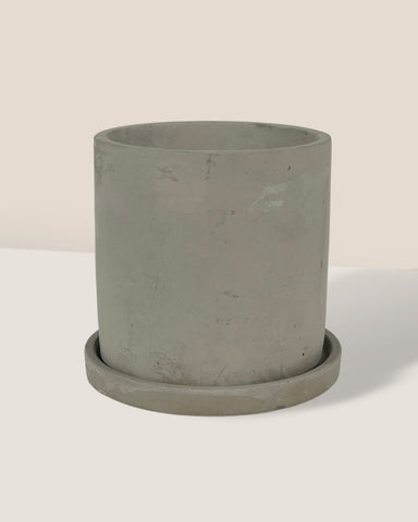 Smoffy Cement Planter