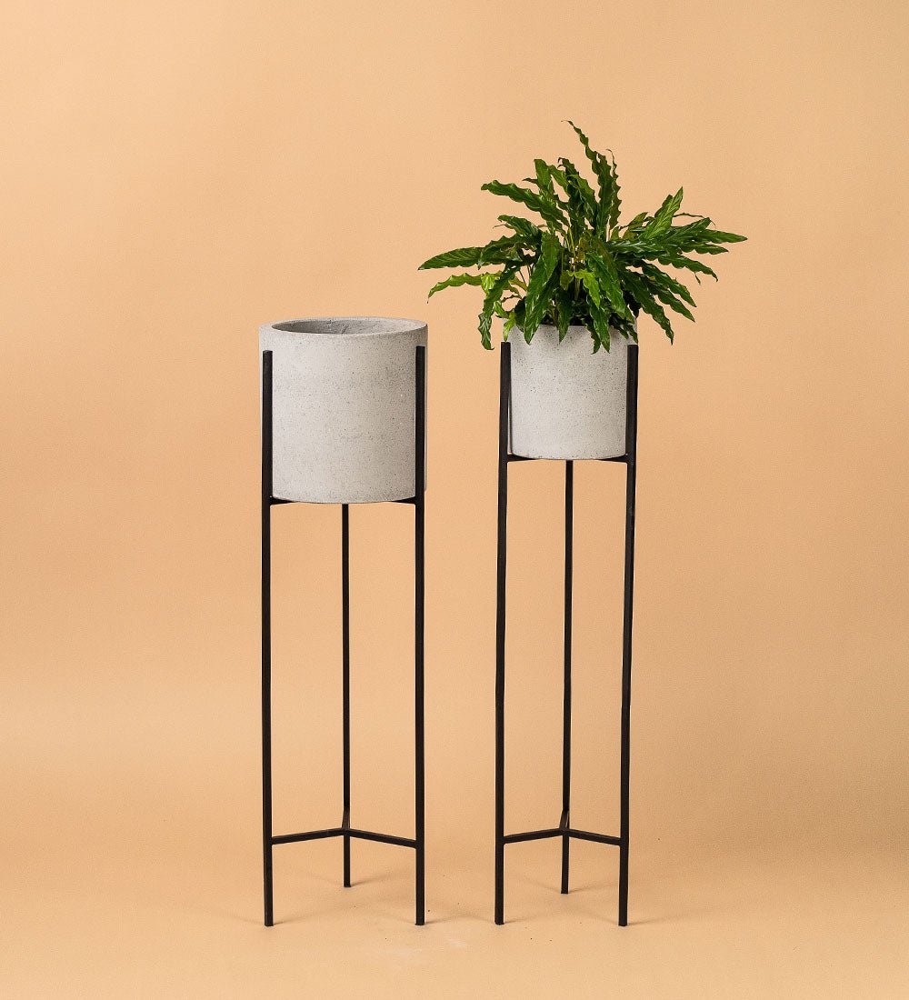 Tall Plant Stands - cement - Stand - Tumbleweed Plants - Online Plant Delivery Singapore