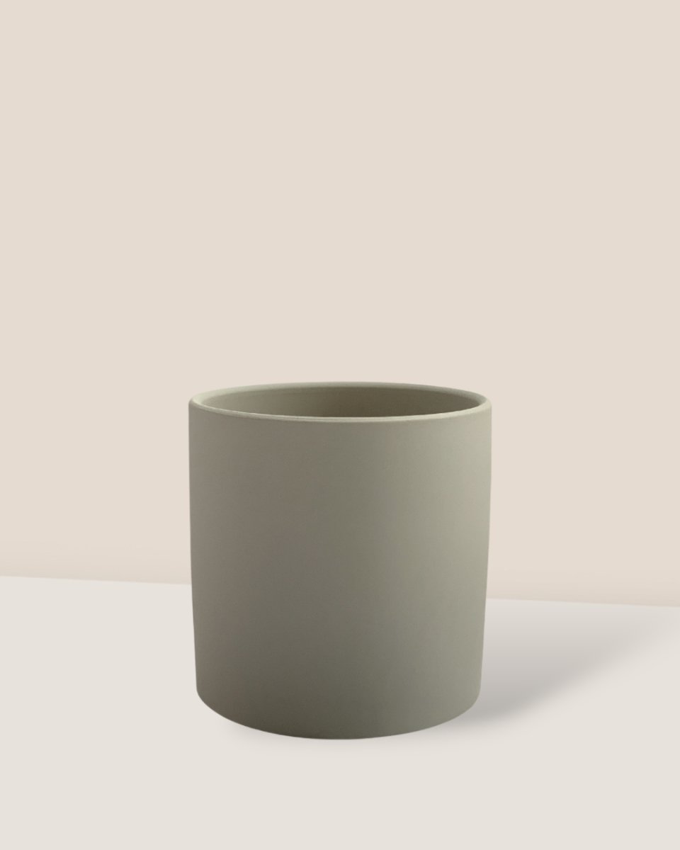 Taupe Mist Ceramic Pot - Small - Pot - Tumbleweed Plants - Online Plant Delivery Singapore