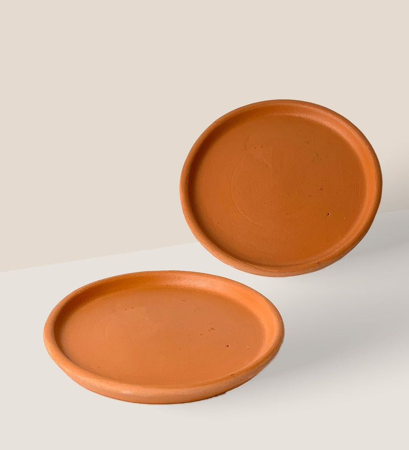 Terracotta Tray - Tray - Tumbleweed Plants - Online Plant Delivery Singapore