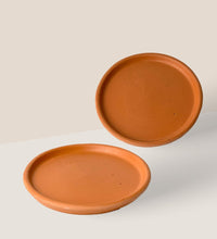 Terracotta Tray - Tray - Tumbleweed Plants - Online Plant Delivery Singapore