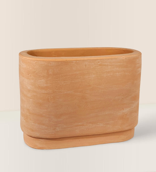 Trough Terracotta Pot - Pot - Tumbleweed Plants - Online Plant Delivery Singapore