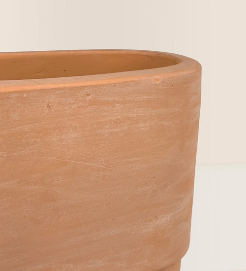 Trough Terracotta Pot - Pot - Tumbleweed Plants - Online Plant Delivery Singapore