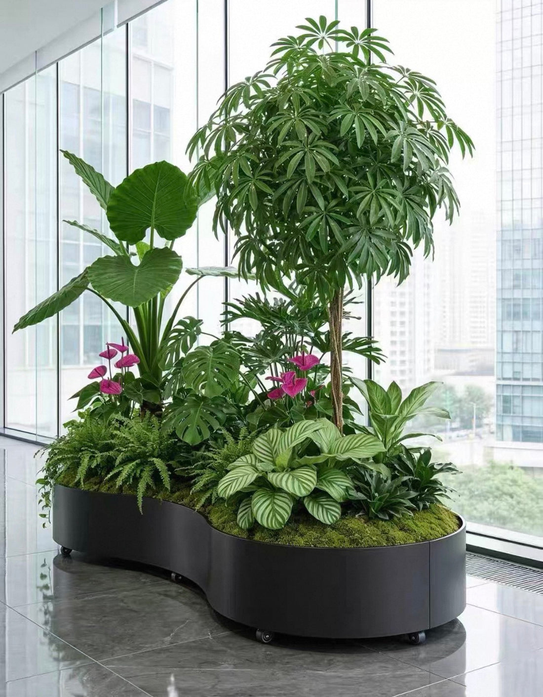 A black free-form planter on castors, planted with ferns, calatheas and a small tree, beside a window