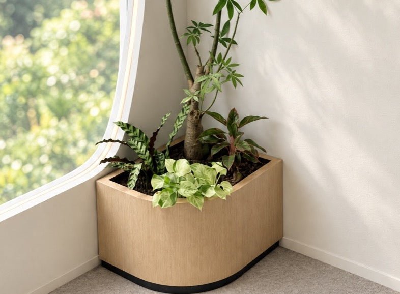 Living plants