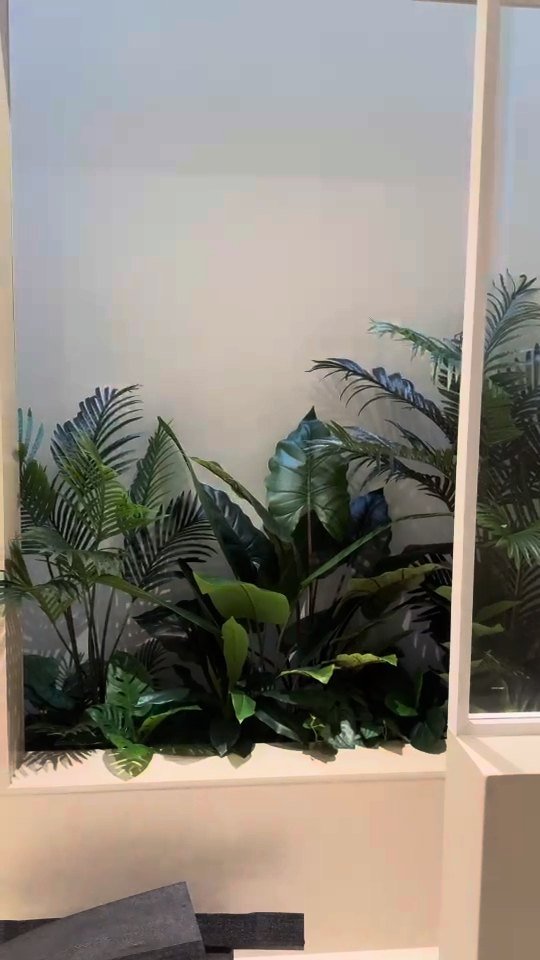 A planted lightwell behind glass