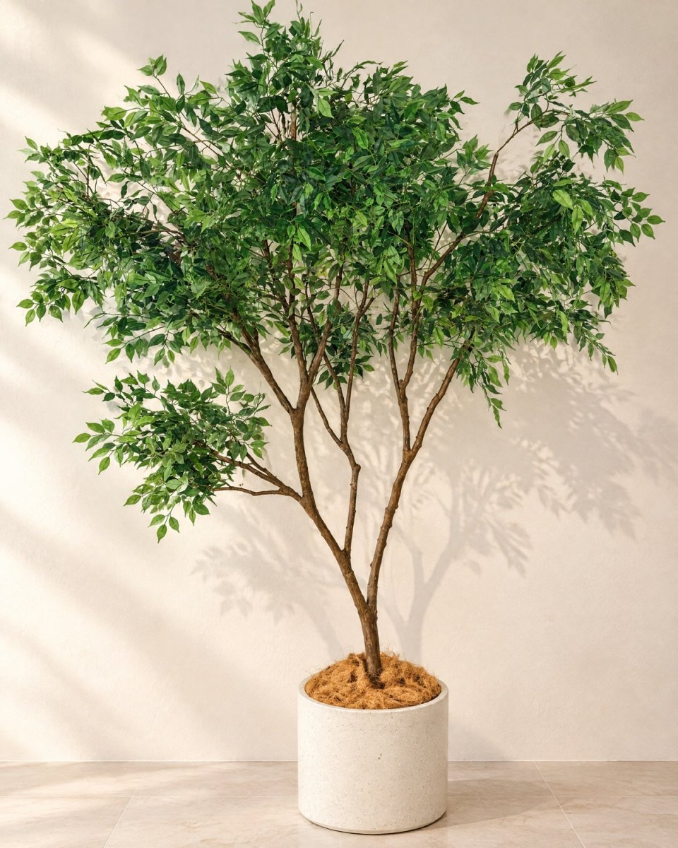 A life-like ficus tree in a terrazzo planter
